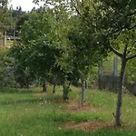 Glorioso Picaraña