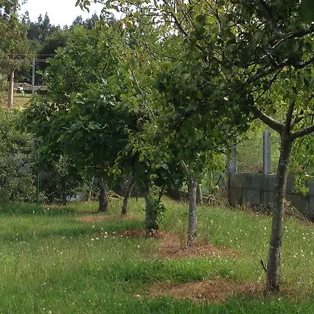 Glorioso Ii Picaraña