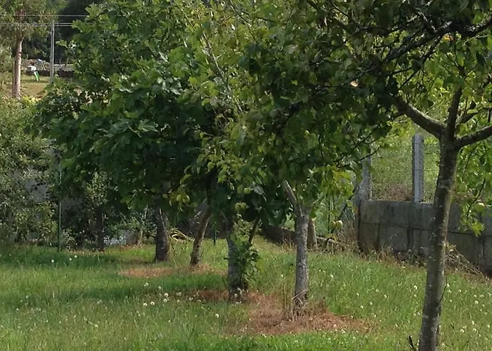 Glorioso Ii Picaraña